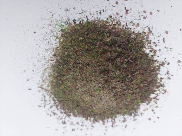 Streu Waldboden, Nadelwald